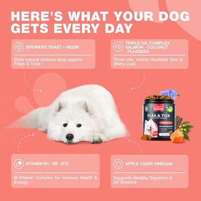 Dog Flea and Tick Treatment Chews - Flea and Tick Prevention for Dogs - Flea & Tick Chewables - Natural Dog Flea & Tick Control Soft Treats - Flea Chewables for Dogs - Immune Support Supplement