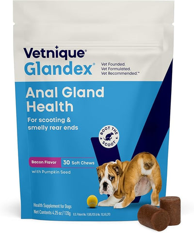 Vetnique Glandex Anal Gland Soft Chew Treats with Pumpkin for Dogs Digestive Enzymes, Probiotics Fiber Supplement for Dogs Boot The Scoot (Bacon Flavor Chews, 30 Count) (Pack of 2)
