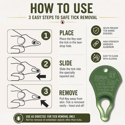 The Original Tick Key - Tick Detaching Device - Portable, Safe and Highly Effective Tick Detaching Tool (Light Green)