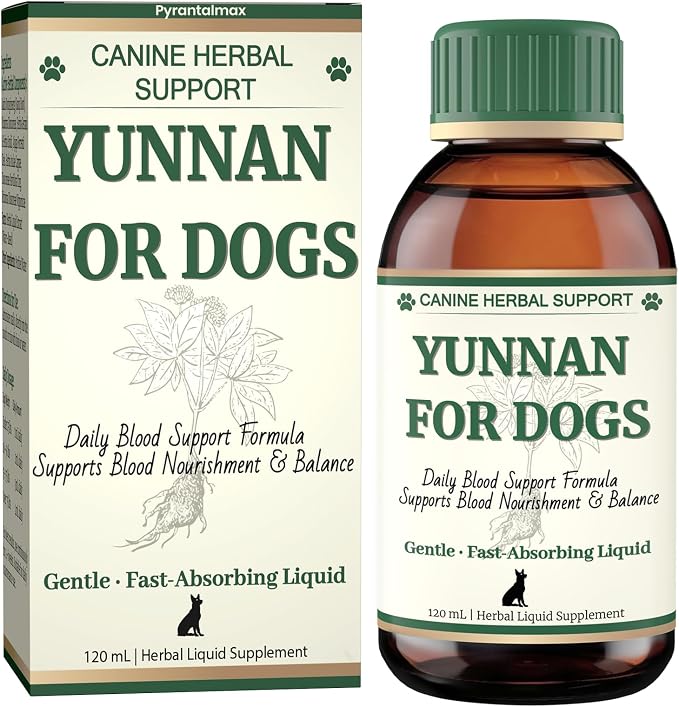 yunan Sanqi Liquid for Dogs – Pure Herbal Oral Quick Stop Bleeding for Dogs & Daily Blood Support for Hemangiosarcoma, Hemoabdomen, Ulcers, Post-Surgery Recovery & Chronic Care – 120ml