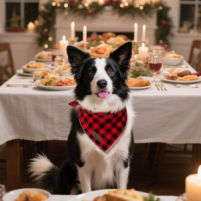 Unique Style Paws Dog Christmas Bandanas 1PC Washable Cotton Triangle Black&Red Plaid Dog Scarfs for Small Medium Large Dogs and Cats-NewHLG-S