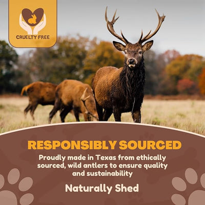 WhiteTail Naturals 1 Pound Bulk Antlers - Budget Friendly Sun Aged Deer Antler Dog Chews - Natural Chew Bones - Split and Whole Mix for Large & Medium Dogs - 4 to 5 Count
