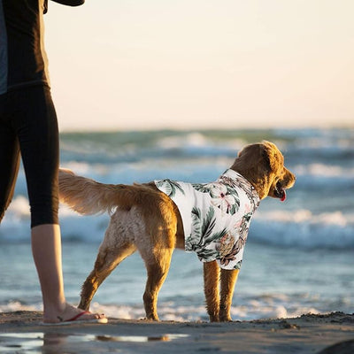 Weewooday 4 Pieces Small Pet Summer T-Shirts Hawaii Style Floral Pet Dog Shirt Breathable Cool Clothes Beach Seaside Puppy Sweatshirt for Puppy(Floral Style,X-Small)