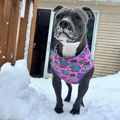 Pittie Clothing Pit Bull Muscle Tee for Dog Breed Dog Shirts Pet Printed Clothes Cool Funny