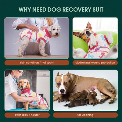 Kuoser Dog Surgery Recovery Suit, Pet Recovery Suit for Dogs Female Male Spay Neuter, Anti-Licking Dog Surgical Onesie for Abdominal Wounds Skin Issues, Dogs Bodysuit Cone E-Collar Alternative, L