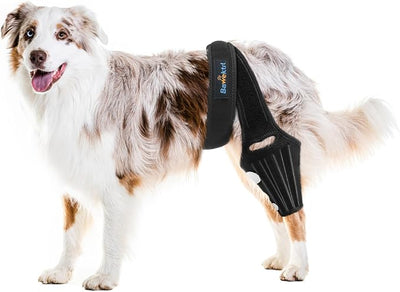 Dog Knee Brace for Torn ACL Hind Leg, Rear Leg Braces for Dogs Luxating Patella, Metal Spring Strong Support and Flexible Joint Care, Easy to Put On and Off Dog Braces for Back Leg