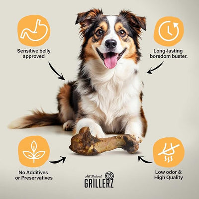 Grillerz Pork Bone, 1 Count, Pork Bones for Dogs, Rawhide Free, Dog Chew for Healthy Teeth & Gums, High Protein, Easy to Digest, Long Lasting, Natural Treats for All Breeds