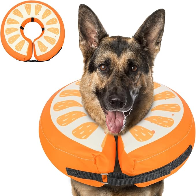MIDOG Soft Inflatable Dog Cone, Donut E-Collar Alternative for After Surgery, Prevents Licking, Allowing Normal Eating & Vision, Comfortable Recovery Collar for Small Medium Large Dogs&Cats, Orange-L+