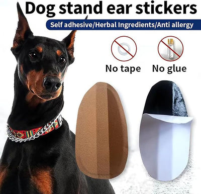 Dog Ear Stand Sticker Up Support Tool, Dog Ear Fixed Correction Vertical Holder for Doberman-Small (0.98 * 1.97)