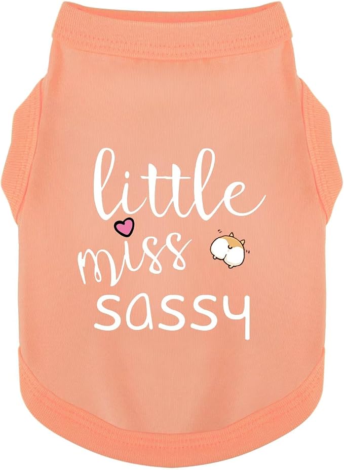 Paiaite Dog Clothes Fashionable Sleeveless Pet Vest: 'Little Miss Sassy' Printed Cotton Dog Shirt, Ideal for Small, Medium, and Large Breeds, Ensuring Comfort and Breathability Orange Pink L