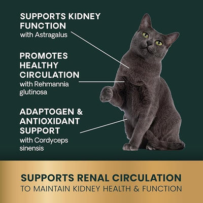 VetriScience Kidney Health Chewable Tablets, Renal Essentials Supplement for Cats, Kidney Care and Support with Mushroom, Astragalus Root, Nettle Seed and Herbs, Chicken and Fish, 60 Count