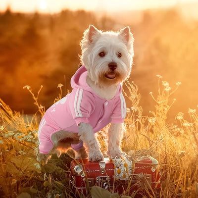 Dog Hoodie Security Clothes 4 Legs Jumpsuit Sweatshirt Soft & Warm Dog Outfit Pullover Dog Winter Clothes Sweater for Small Medium Large Dogs Cats (Pink, Medium)