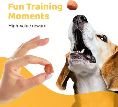 iPaw 2 Saver Combo Turkey Tots Dog Treats for Puppy Training, SQF Certified Human Grade Dog Treat, Hypoallergenic, Easy to Digest (Turkey Tots), 2 Packs