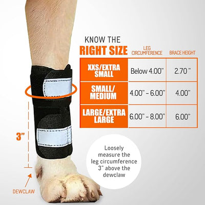 NeoAlly- Front Leg Brace for Dogs & Cats, Dog Leg Brace with Metal Spring Inserts, Dog Leg Sleeve for Carpal Support, Dog Leg Sleeve with Reflective Straps, XXS/XS, Pair