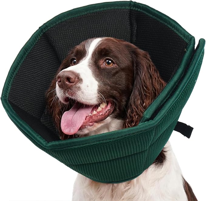 Allroaring Adjustable Dog Cone for Spay, Comfy Recovery Collar Green XL | Breathable & Lightweight; Soft Fabric; Wound Healing & Stitches; Chewing Deterrent; Foldable; Extra Long; Protect Furniture