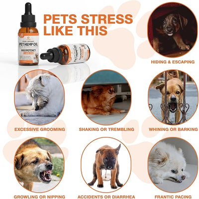 Organic Неmp Oil for Dogs, Cats 2-Pack, Dog Cats Anxiеty Relief & Strеss & Pаin Rеlief, Supports Hip Joint Health, Slеep & Rеlaxation, Pet Calming Drops,