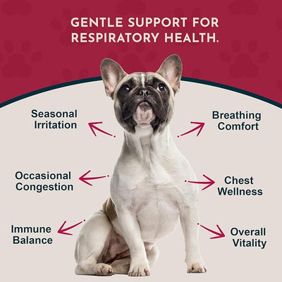 Animal Essentials Breathe EZ Herbal Supplement for Dogs & Cats, 2 fl oz - Supports Clear, Healthy Respiration-Breathing