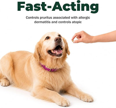 Dog Allergy Itch Relief Treatment,Fast Reduce Scratching,Paw Licking and Belly-Rubbing for Dermatitis，Atopic Skin Care Supplement for Dogs Over 12 Months Old | 15 mg | 90 Count