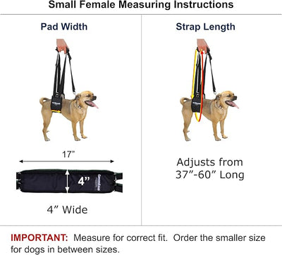 GINGERLEAD Dog Sling Support Harness, SM Female fits Small to Medium Size Pets or Larger Barrel Chested Dogs Like Boxers or Bullies. Padded Rear Lifting Aid with Leash. Made in U.S.A.