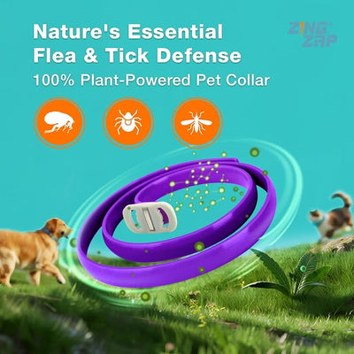 ZingZap Flea & Tick Collar 2-Pack Purple, Protects from Biting Insects, Adjustable Fits Both Dogs & Cats, Built-in Plant Based Formula, Slow Release Lasting Protection, Waterproof