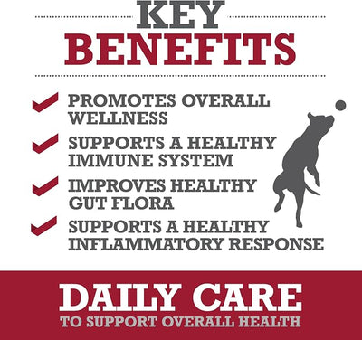 WINPRO Pet Daily Care Chews for Dogs, 60 Soft Chews, Plasma Powered, Grain Free Supplement for Dogs with Probiotics to Support A Healthy Immune System