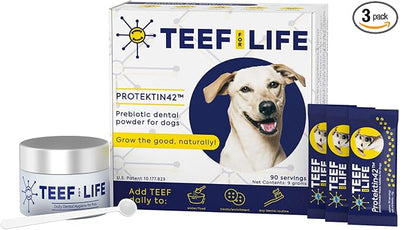 TEEF for Life Protektin42 Prebiotic Dog Dental Powder Kit - Tasteless Dog Breath Freshener & Food and/or Water Additive - Daily Dental Care, Plaque & Tartar Support, 90 Servings - 3 Packets