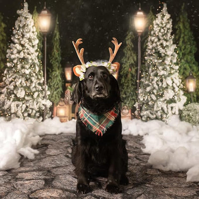 FLAdorepet Pet Cat Dog Elk Antler Deer Horn Headband Headwear Hat,Halloween Christmas Dog Reindeer Deer Costume Outfits for Small Medium Large Dogs Pet Hair Accessories Apparel Gifts
