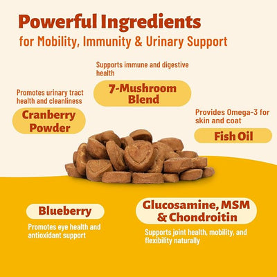 Mushroom Supplement for Dogs - Supports Antioxidant & Immune Defense, Gut, Skin, Joint & Urinary Tract Health, 7-Mushroom Complex (Turkey Tail, Lion's Mane, Reishi & 4 Others) – 330 Chews