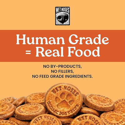 Wet Noses Organic Crunchy Dog Treats Grain Free – All-Natural, Human-Grade, Non-GMO, Healthy Training & Delicious Snacks for Dogs, for All Dog Sizes & Breeds – Pumpkin & Quinoa, 14oz (2 Pack)