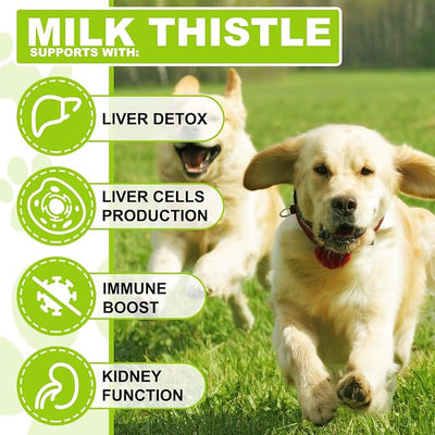 Milk Thistle for Dogs, Dog Liver Support Drops - Dog Milk Thistle Helps Dog Liver Detox, Pet Supplement Treats with Salmon Oil, Curcumin C3 Complex and Omega 3 EPA & DHA, Bacon Flavor - 2 fl.oz
