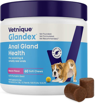 Vetnique Glandex Anal Gland Soft Chew Treats with Pumpkin for Dogs Digestive Enzymes, Probiotics Fiber Supplement for Dogs Boot The Scoot (Bacon Flavor Chews, 60 Count) (Pack of 2)