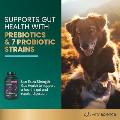 VetriScience Extra Strength Gut Health Probiotic & Prebiotic Digestive Supplements for Dogs & Cats, Gas & Diarrhea & Immune Support, Easy-Open Capsules, 180 Count