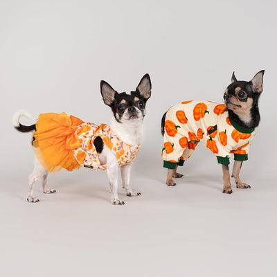 Fitwarm Pumpkin Dog Pajamas, Thanksgiving Outfit for Small Dogs Boy Girl, Fall Pet Clothes, Beige, Orange, Green, XL