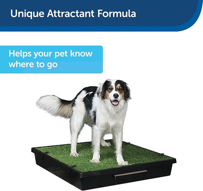 PetSafe Skip to My Loo Attractant, Potty Train Dogs to Use Pee Pads and Alternative Dog Potty Solutions