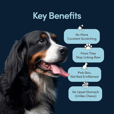 Fifth & Fido Dog Allergy Relief Formula - Natural Daily Food Topper Powder for Dog Itching Skin Relief & Immune & Gut Support - Pet Vitamins and Supplements with Turkey Tail, Quercetin & Probiotics