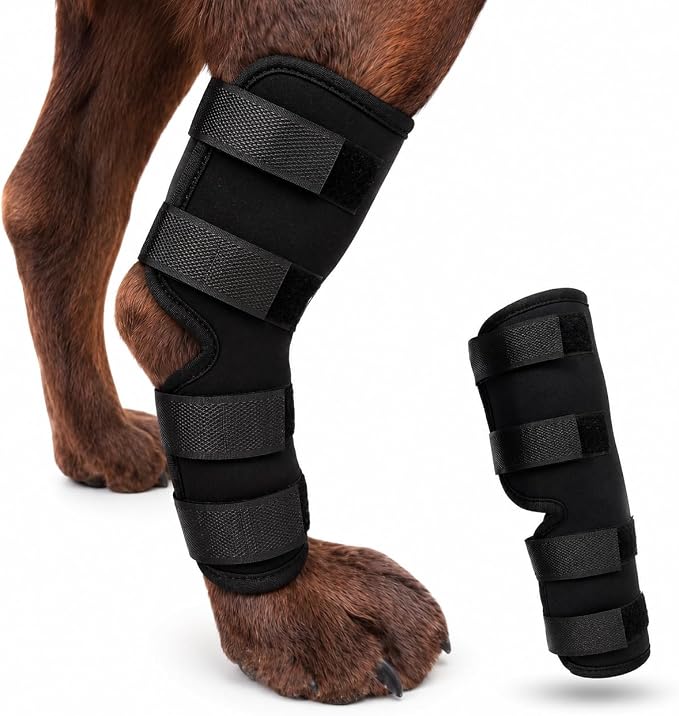 Dog Knee Brace for Hind Leg, Dog Hock Brace for Back Leg Support, Adjustable ACL CCL Brace for Dogs, Rear Leg Support for Joint Stability, Recovery & Mobility, Small Medium Large Dogs (Black, XL)