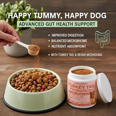 Lumiqour Turkey Tail for Dogs – Turkey Tail Mushroom for Dogs, Mushroom Supplement Powder, Support Your Mature Dog’s Immunity, Gut, Skin & Coat - 113 Scoops