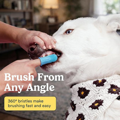 Jasper Dog Toothbrush, 360 Degree Dog Tooth Brushing Kit, Cat Toothbrush, Canine Dental Care & Teeth Cleaning Kit, Pet Finger Tooth Brush, Use with Pet Toothpaste, 4-Pack Blue