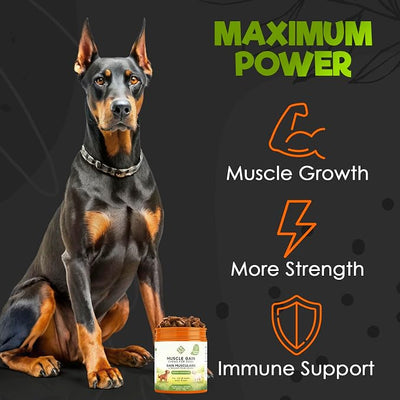ZENO 11-in-1 Muscle Gain Chews - Weight Gain Supplements for Dogs with High Protein & Amino Acids - Premium Muscle Builder for Bully & All Breeds - Healthy for Puppies - 150 Chews - Chicken