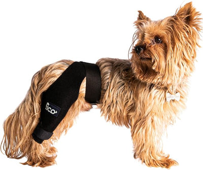 Dog Knee Brace for Right Hind Leg Support - CCL ACL Brace for Dogs, Vet Approved, Adjustable Orthopedic Support for Arthritis, Ligament Injuries & Post-TPLO Surgery Recovery (M (CB))