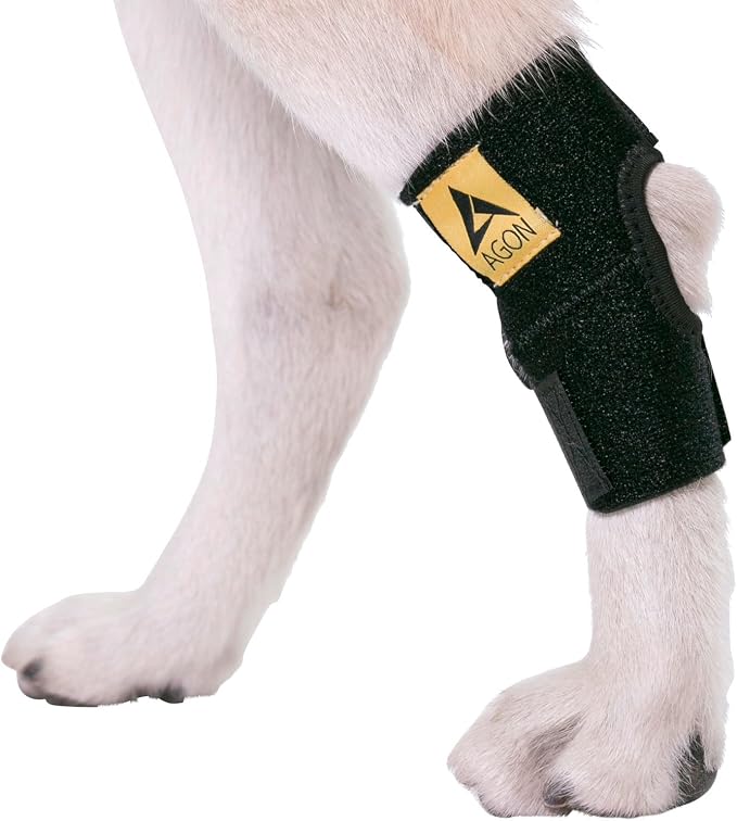 Agon® Dog Leg Braces For Back Leg wrap hock compression protects wounds and helps heal hind legs rear ankle joint, preventing injuries, sprains providing stability for dogs, canine arthritis (X-Large)
