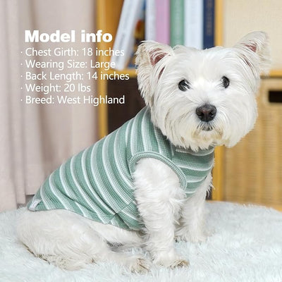 KYEESE 2Pack Waffle Dog Shirts, Lightweight Sleeveless Dog T Shirts for Small Dogs Boy Girl, Breathable Pet Vest Comfortable Tank Top Soft Dogs Clothes for Daily Wear, Green+Striped, L