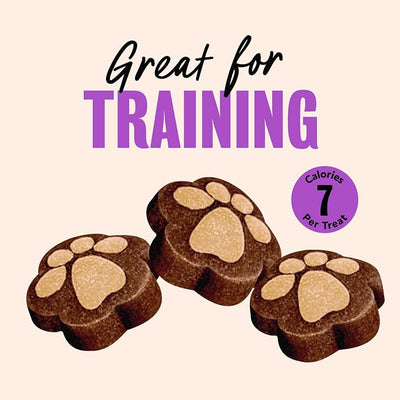 Cesar Softies Chewy Soft Dog Treats, Filet Mignon Flavor, 18 oz. Pouch, 200 Treats