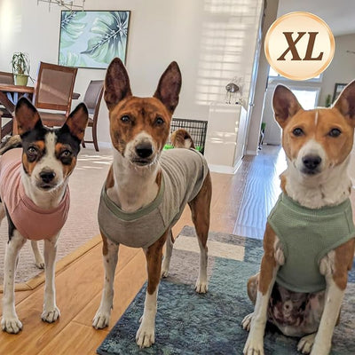 KYEESE 2Pack Waffle Dog Shirts, Lightweight Sleeveless Dog T Shirts for Small Medium Dogs Boy, Breathable Pet Vest Comfort Tank Top Soft Dogs Clothes for Daily Wear, Blue+Grey, XL