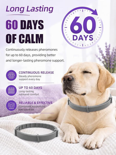 Calming Collar for Dogs 4 Pack, Adjustable Dog Calming Collar for Barking, 60-Day Waterproof Pheromone Collars for Dog for Separation Anxiety, Bad Behavior & Stress Support (Grey, Large)