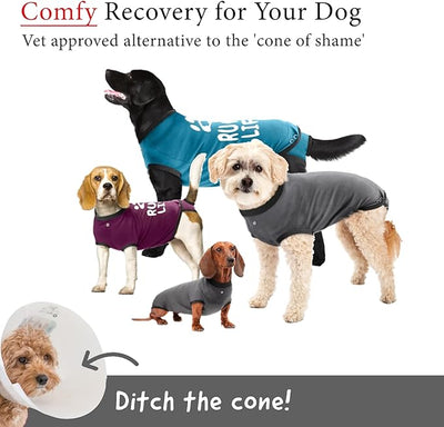 BellyGuard Dog Surgery Recovery Suit, Post-Op Dog Recovery Suit for Female Spay & Male Neuter, Comfy Onesie for Pets, Surgical Body Cover for Canine Healing Support
