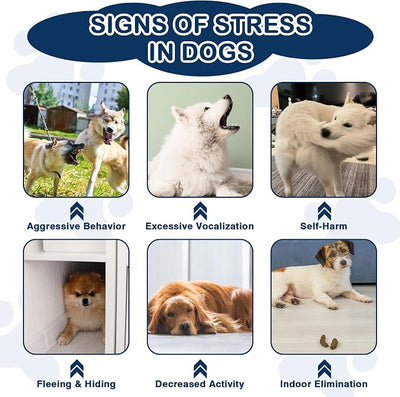 Calming Chews for Dogs 300ct with Melatonin-Stress & Anxiety Relief Sleep Aid Treats for Small/Medium/Large Dogs-Storms, Fireworks, Thunder, Barking, Separation Vet Approved Chicken Flavor