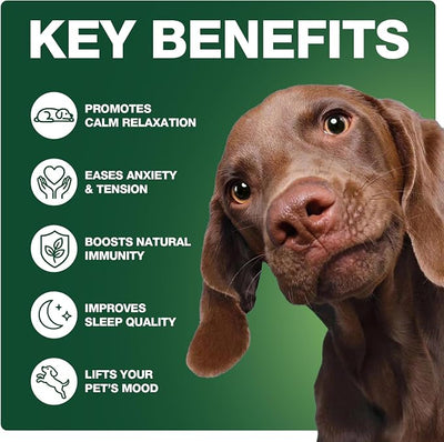 Неmр Calming Chews for Dogs - Dog Calming Chews - Anxiеty Rеlief Treats - Helps with Separation, Strеss Rеlief, Dog Treats with Valerian Root, L-Tryptophan 120 Soft - Chicken Flavor