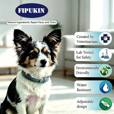 Natural & Safe Flea and Tick Collar for Small Dogs, 4 * 8 Months Protection, Waterproof, 13.8 inch, One Size Fits All, Free Comb and Tick Removal Tool (4-Pack)