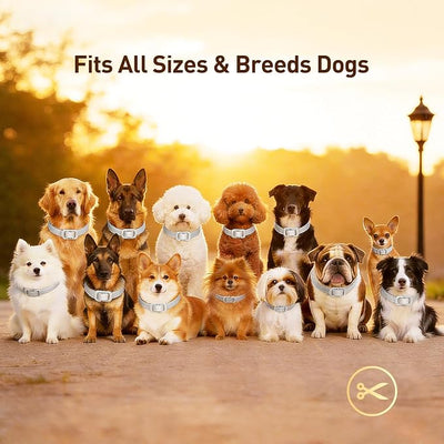 Flea and Tick Collar for Dogs 4 Packs,Dog Collars with Natural Essential Oils,Waterproof, Adjustable for Small Medium Large Dogs,Safe for Puppies (Gray)